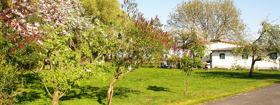 Haseldorfer Hundehotel / Hundepension