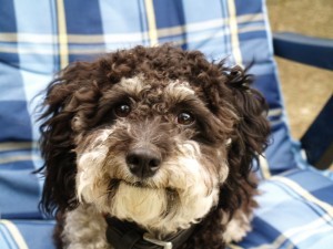 Der lustige Jack aus Hetlingen